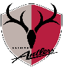 Kashima Antlers
